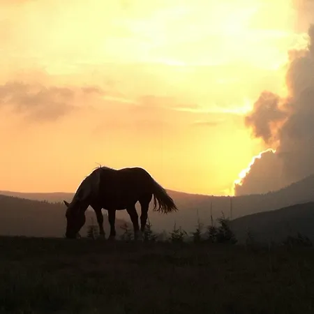 Cuatro Aguas Апартаменты *