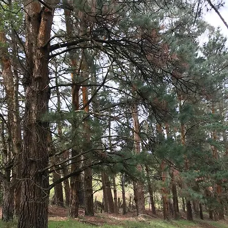 Cuatro Aguas Apartman *