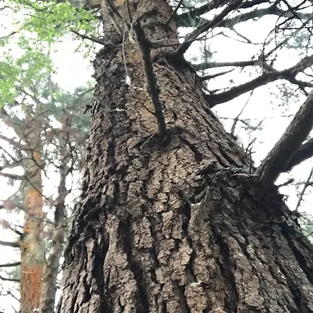 Apartman Cuatro Aguas