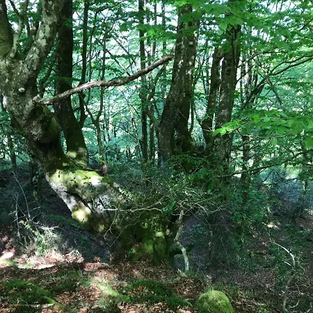 Cuatro Aguas Апартаменты Усьеда-де-Арриба