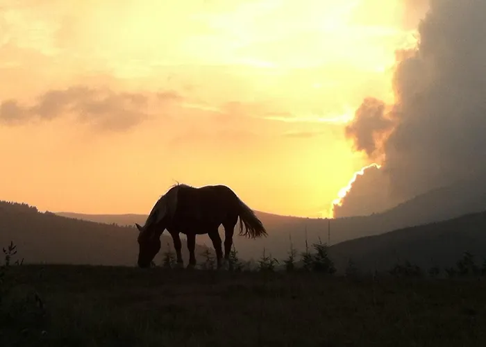 Cuatro Aguas Apartmán *