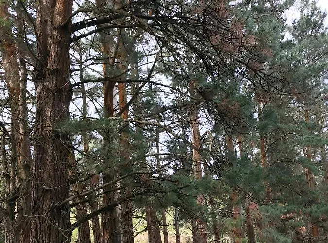 Cuatro Aguas Apartmán *