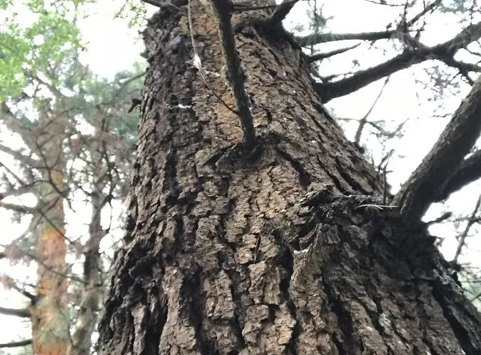 公寓 库阿特洛阿瓜公寓