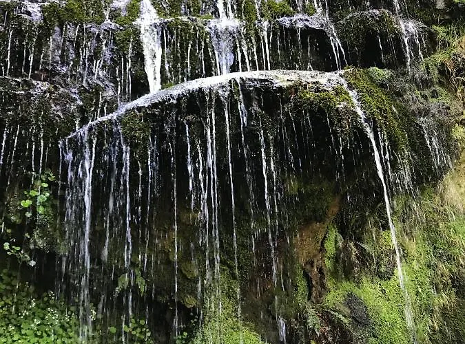 Cuatro Aguas * Ucieda