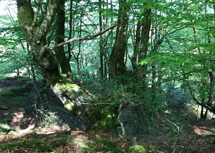 库阿特洛阿瓜公寓 公寓 Ucieda